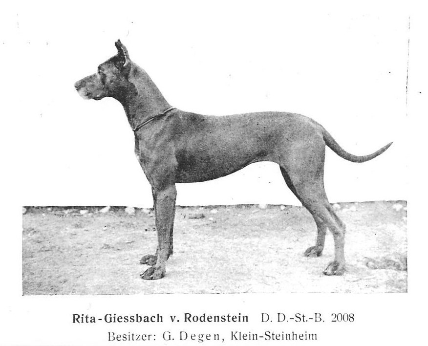 Rita-Giessbach v Rodenstein
